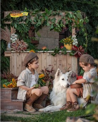 🍂 Podzim je v plné palbě a proto nesmíme zapomínat na své čtyřnohé parťáky! 🐾 Stejně jako my potřebujeme v tomto období...