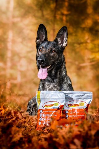 Silná imunita začíná ve střevech a právě tam naše krmiva působí nejvíce. Mister Mix Dog jsou za studena lisované...