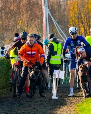 V roce 2025 hostila Česká republika Mistrovství světa ICF v individuálních musherských disciplínách. Do Pardubic dorazilo...