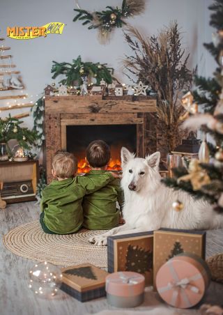 ✨ Teplo domova vzniká tam, kde je láska… a kde u misek voní kvalitní krmivo. 🐶 Mister Mix Dog je krmivo, které je za...