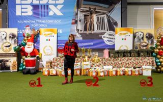 ✨ Ohlédnutí za Santa Claus CAC Speciality Show ✨ Děkujeme organizátorům Santa Claus CAC Speciality Show v Budakeszi za...