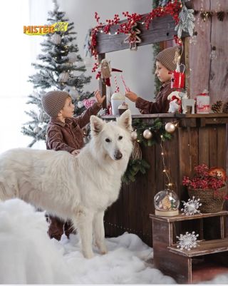 🎄✨ Vánoce jsou téměř za námi a my věříme, že jste je strávili v klidu, pohodě a obklopeni těmi, které máte nejraději. A...