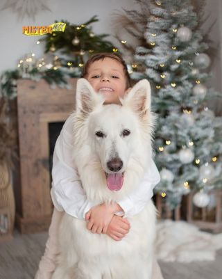 🎄 Veselé Vánoce přeje Mister Mix Dog! Přejeme vám klidné a pohodové svátky plné radosti, pohody a společných chvil s těmi,...