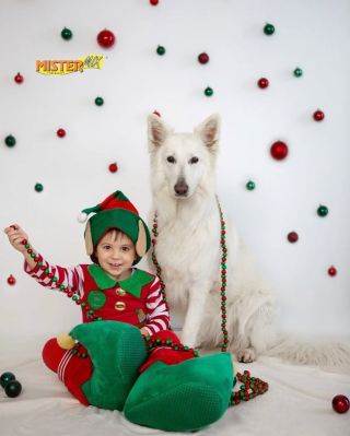 🎄 Kdo si hraje, ten nezlobí. O Vánocích to platí dvojnásobně. 🐶🤍 Když má pes pohyb, pozornost a kvalitní krmivo, je...