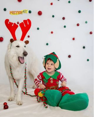 ✨ 25. prosince je den klidu, pohody a rodinné blízkosti ✨ První svátek vánoční je o zpomalení. O tichu po svátečním shonu,...